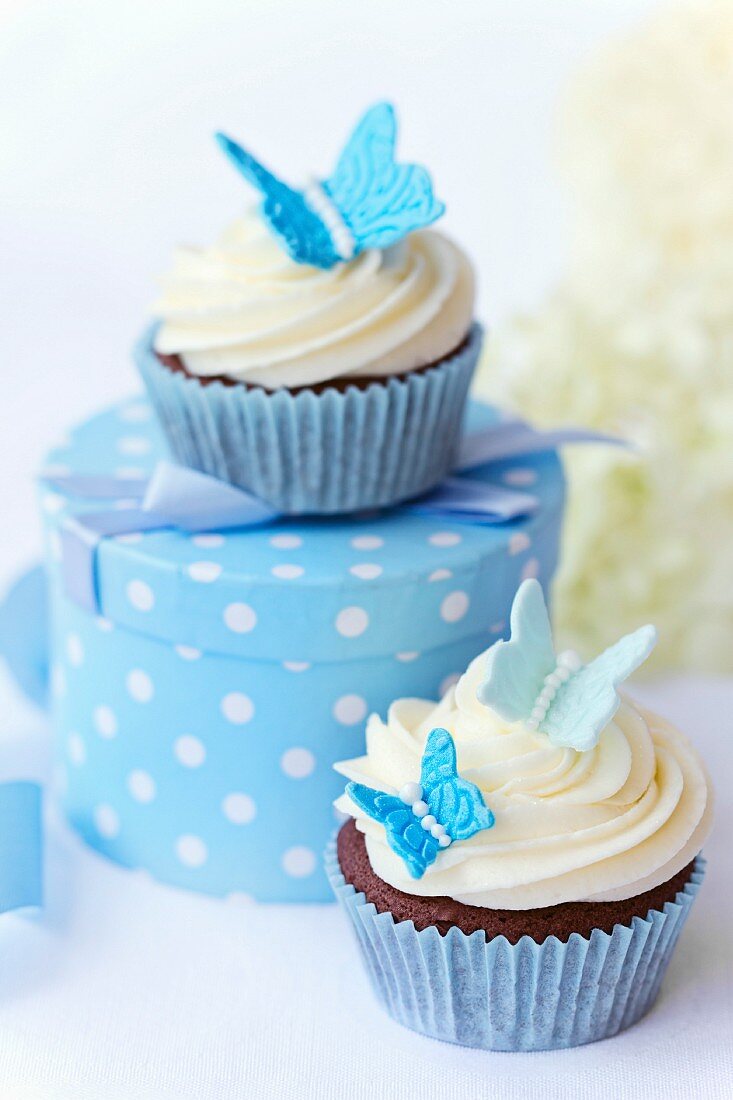 Schokoladen-Cupcakes, dekoriert mit blauen Zucker-Schmetterlingen und Geschenkbox