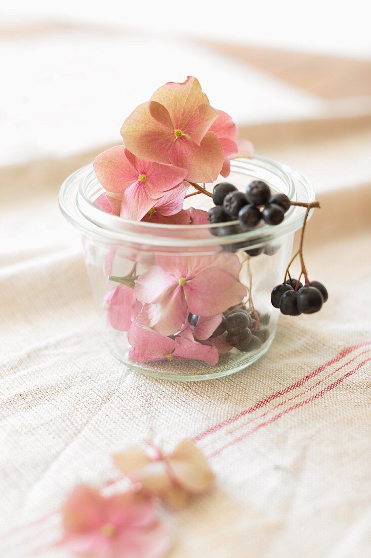 Aroniabeeren und Hortensienblüten als Deko in einem kleinen Einmachglas