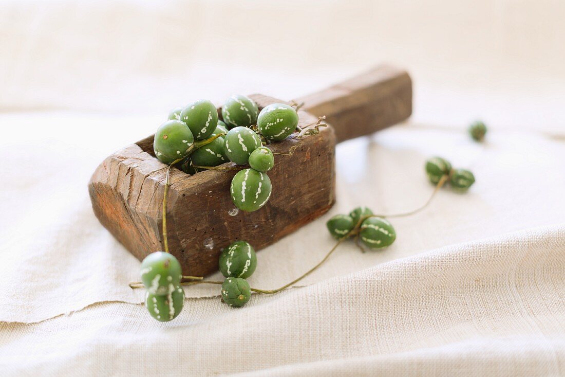 Garland of ornamental cucumbers in old wooden scoop