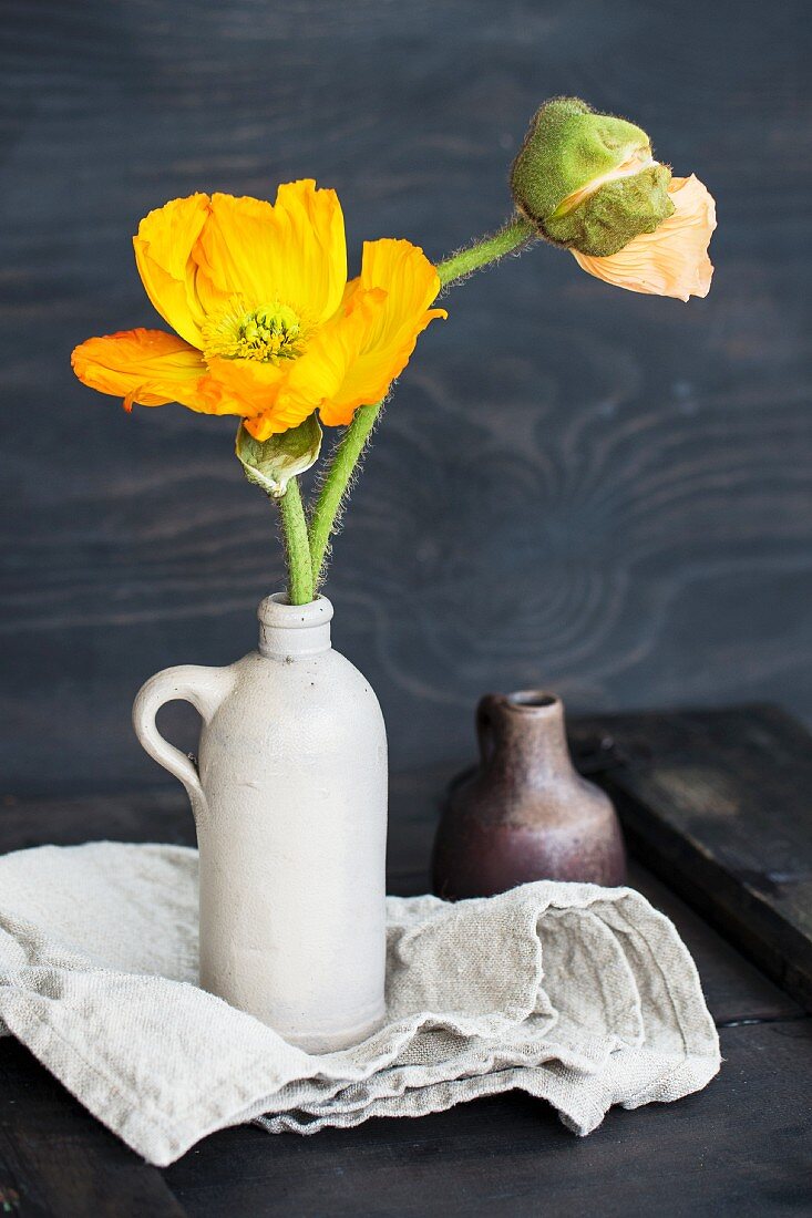 Yellow poppy and poppy buds in stoneware jug on linen