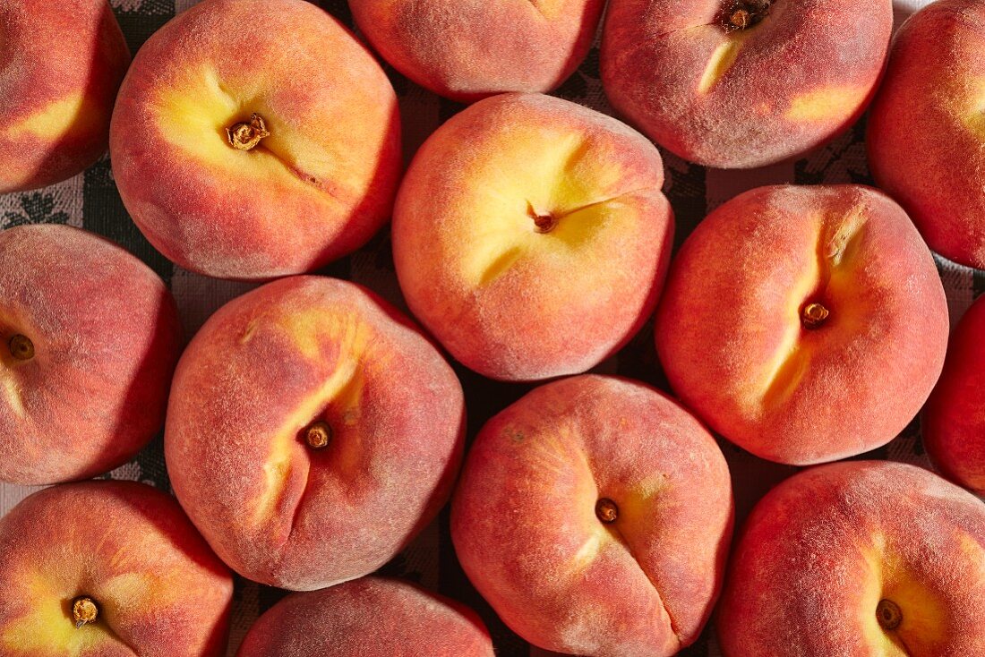 Frische Pfirsiche aus Lancaster, Pennsylvania, USA