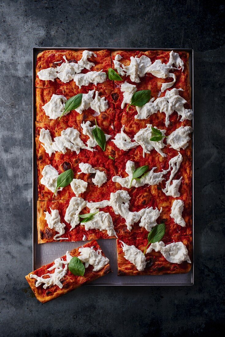 A pizza with tomatoes, burrata and basil on a baking tray