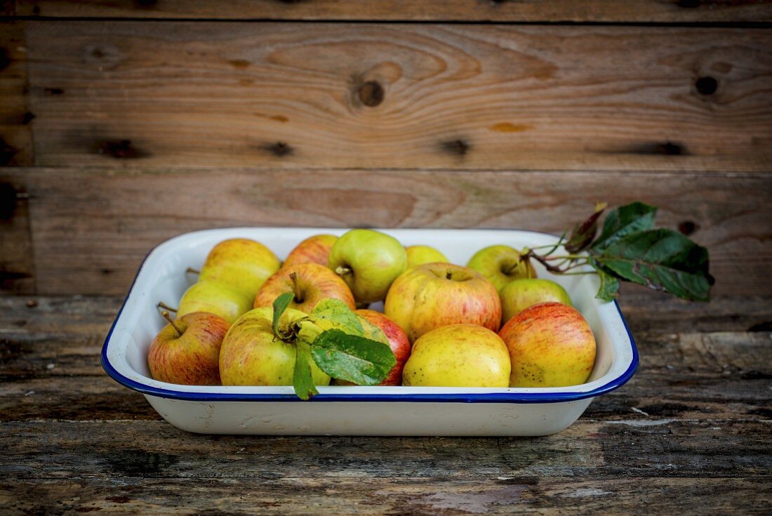 Fresh organic apples in an enamel dish on a wooden surface