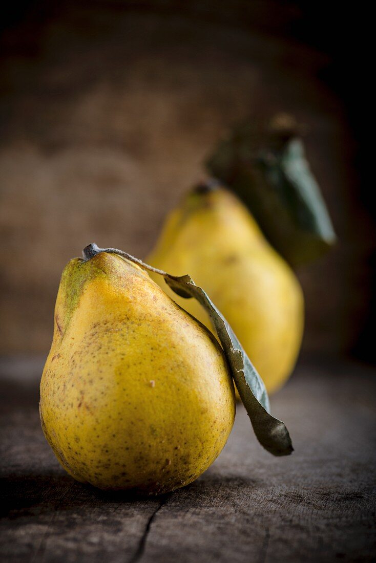Quinces with leaves