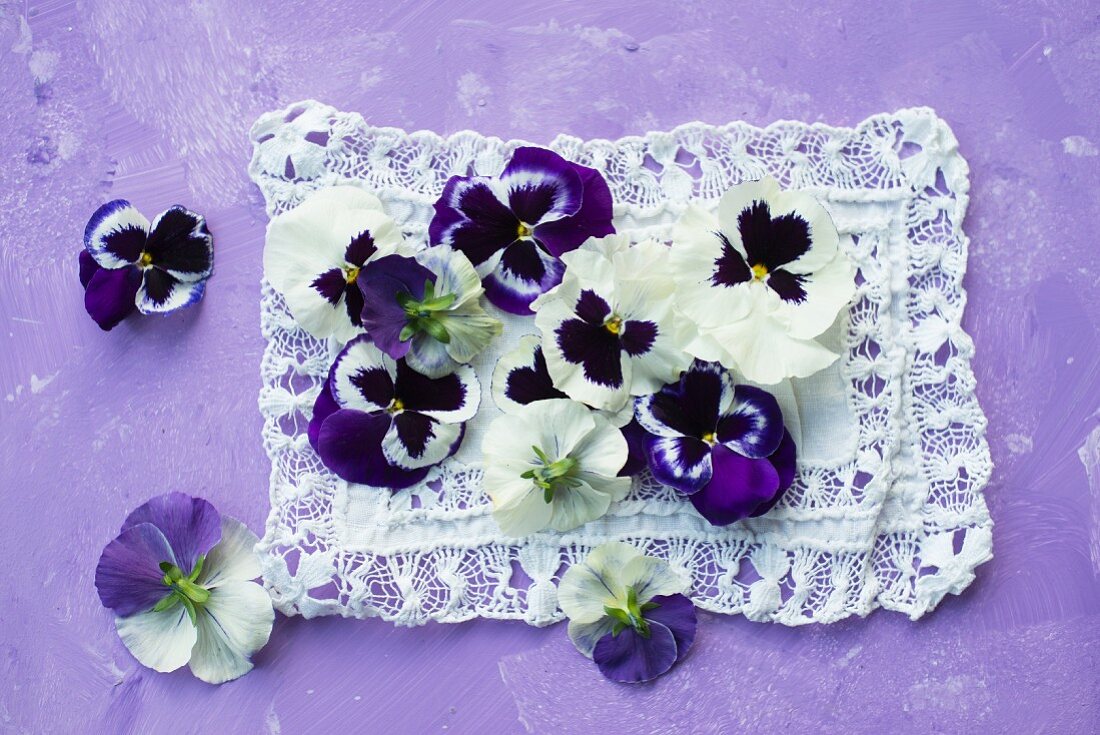 Violas on lace cloth