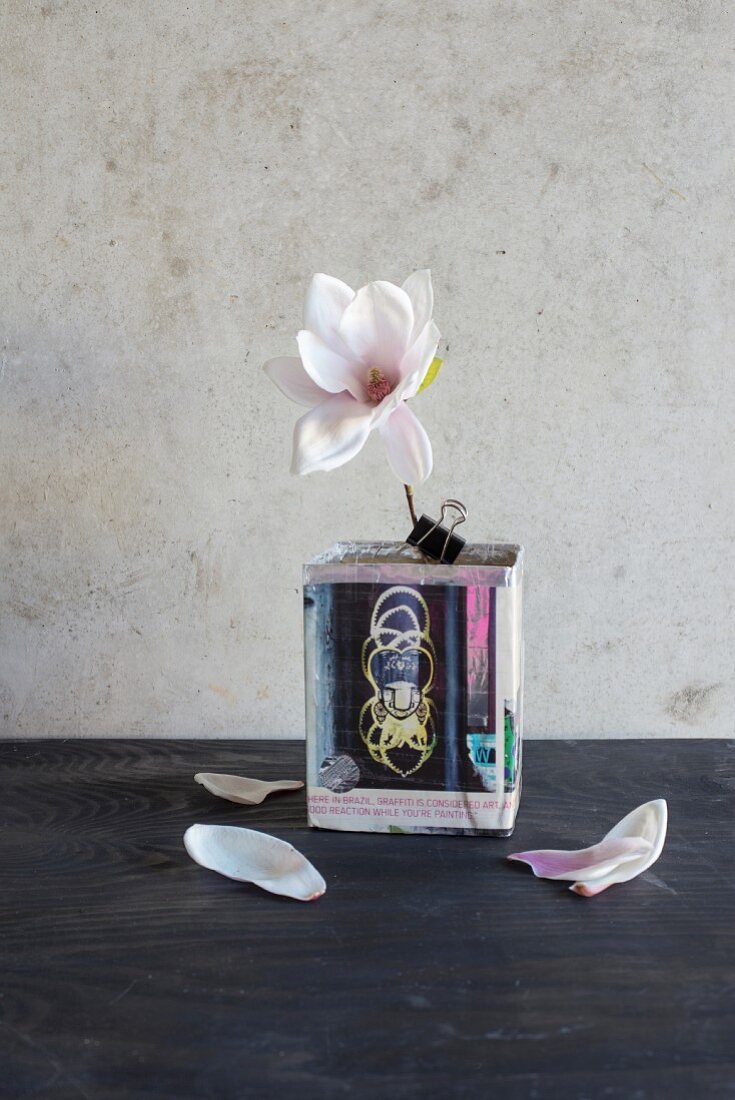 Magnolienblüte in DIY-Behälter