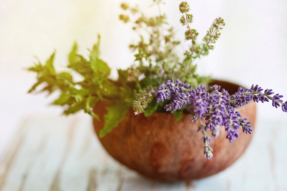 Bouquet of fresh aromatic garden herbs mint, thyme and lavender in half of coconut shell
