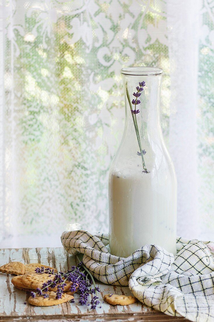 Lavender cookies and bottle of aromatic milk, served with kitchen towel on old wooden table with window at background