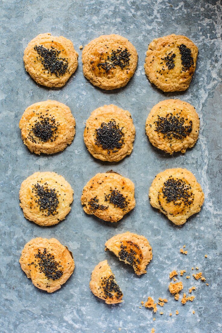 Home-made cheese & poppy seed biscuits (seen from above)