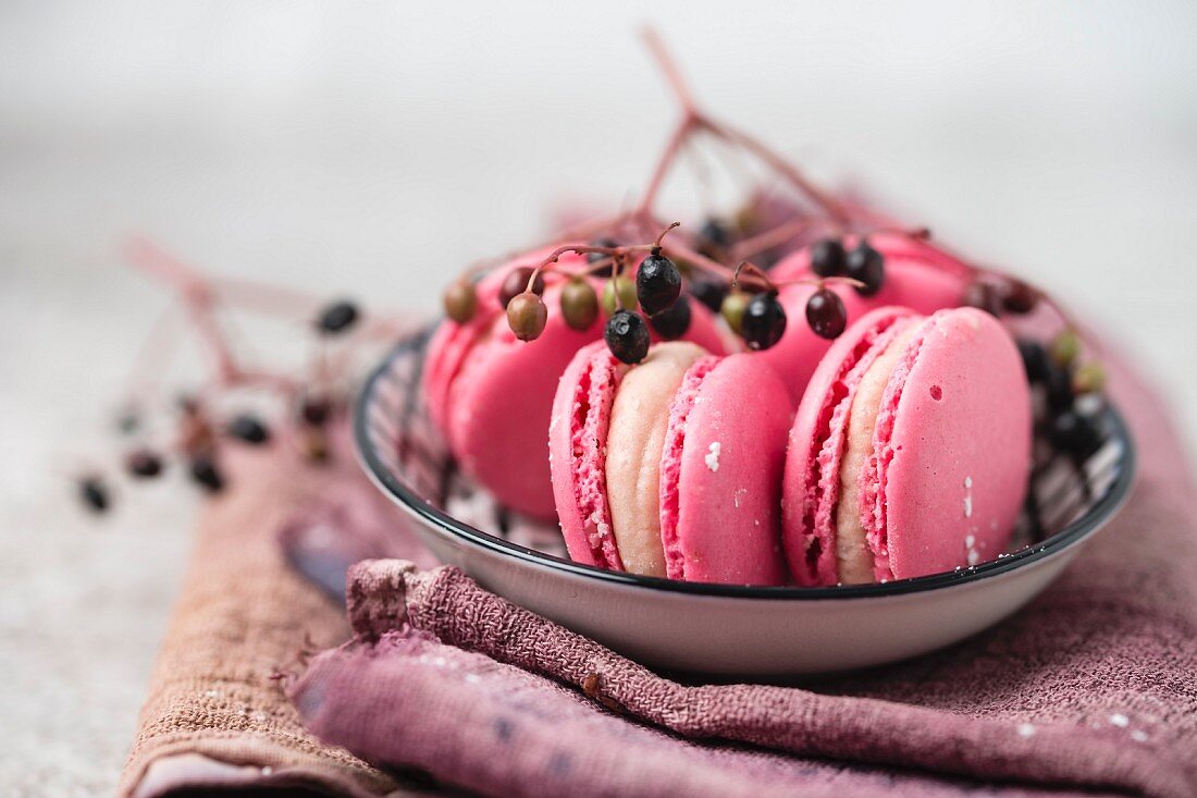 Macarons with an elderberry filling