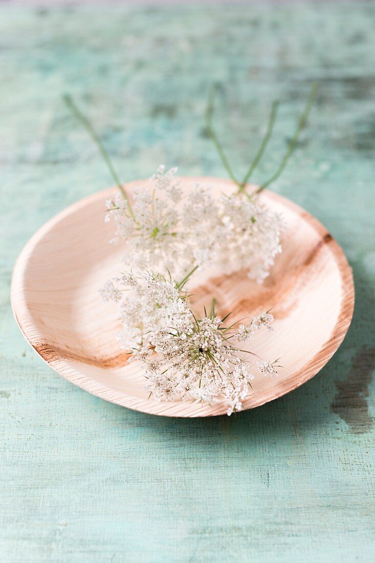 Edible wild carrot flowers on plate