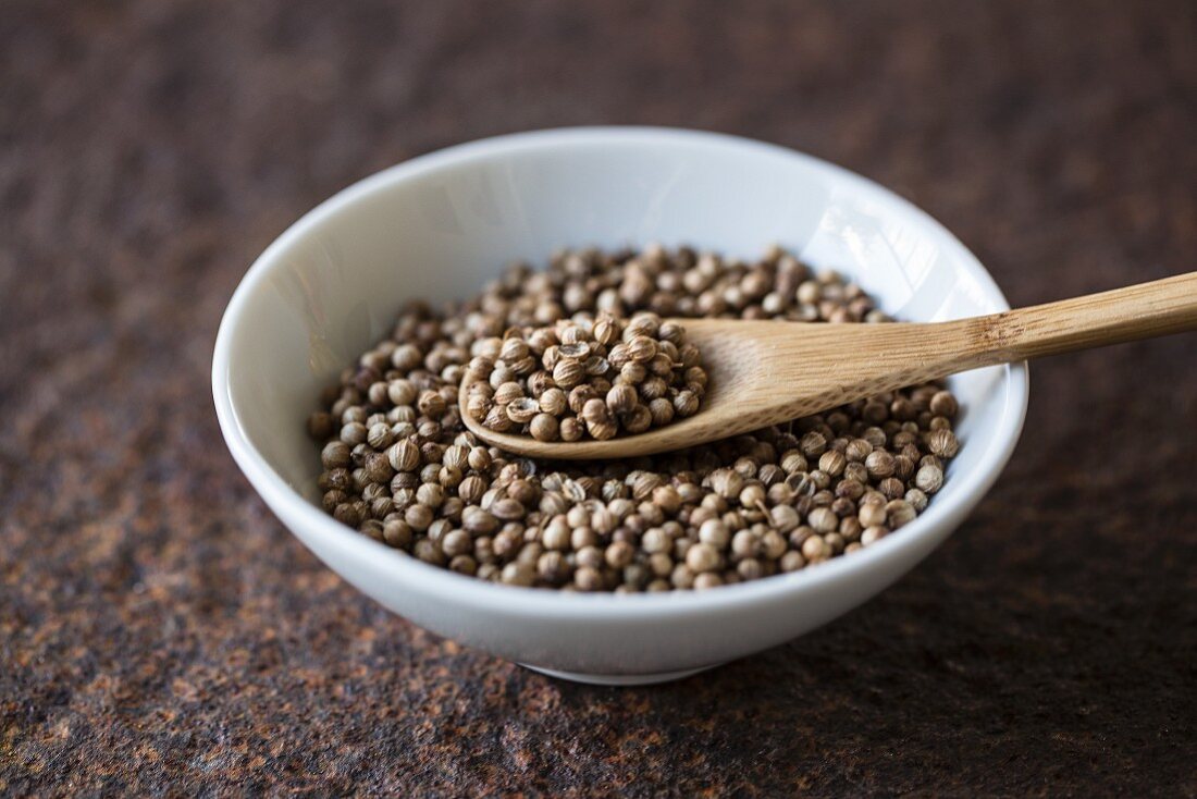 Coriander seeds with a wooden spoon in a bowl