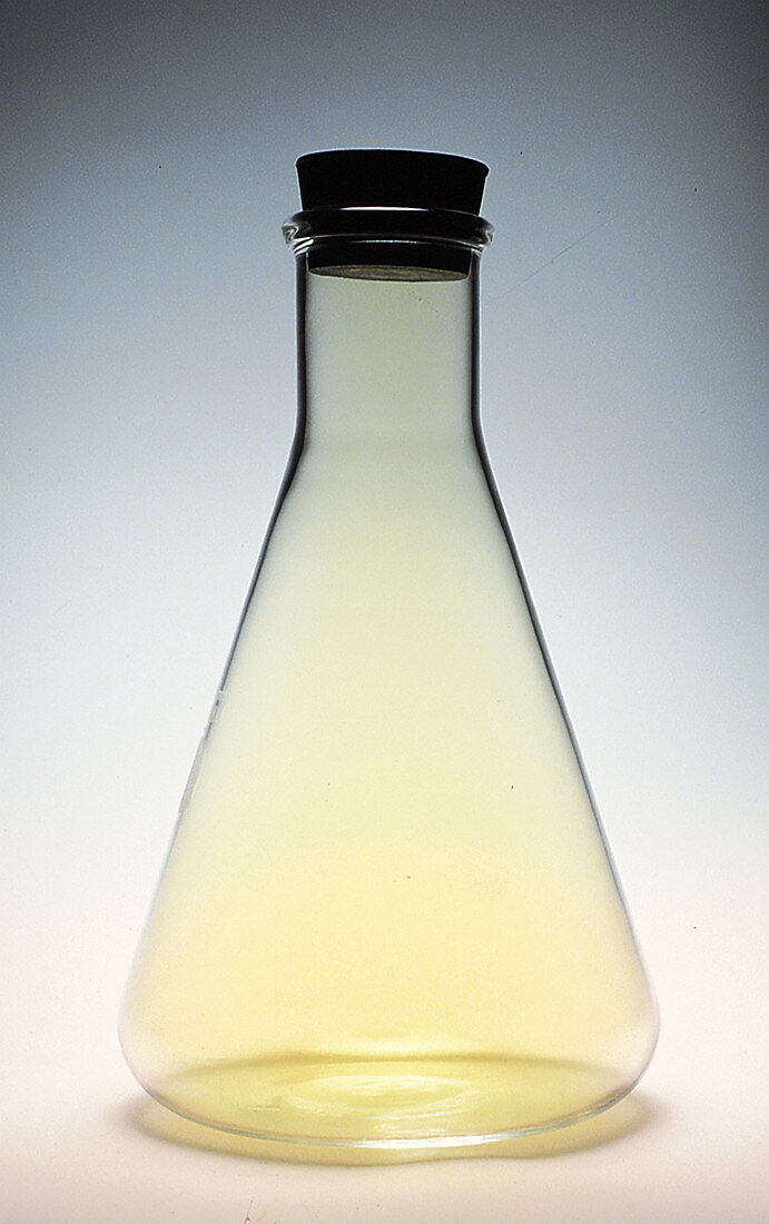 Flask filled with chlorine