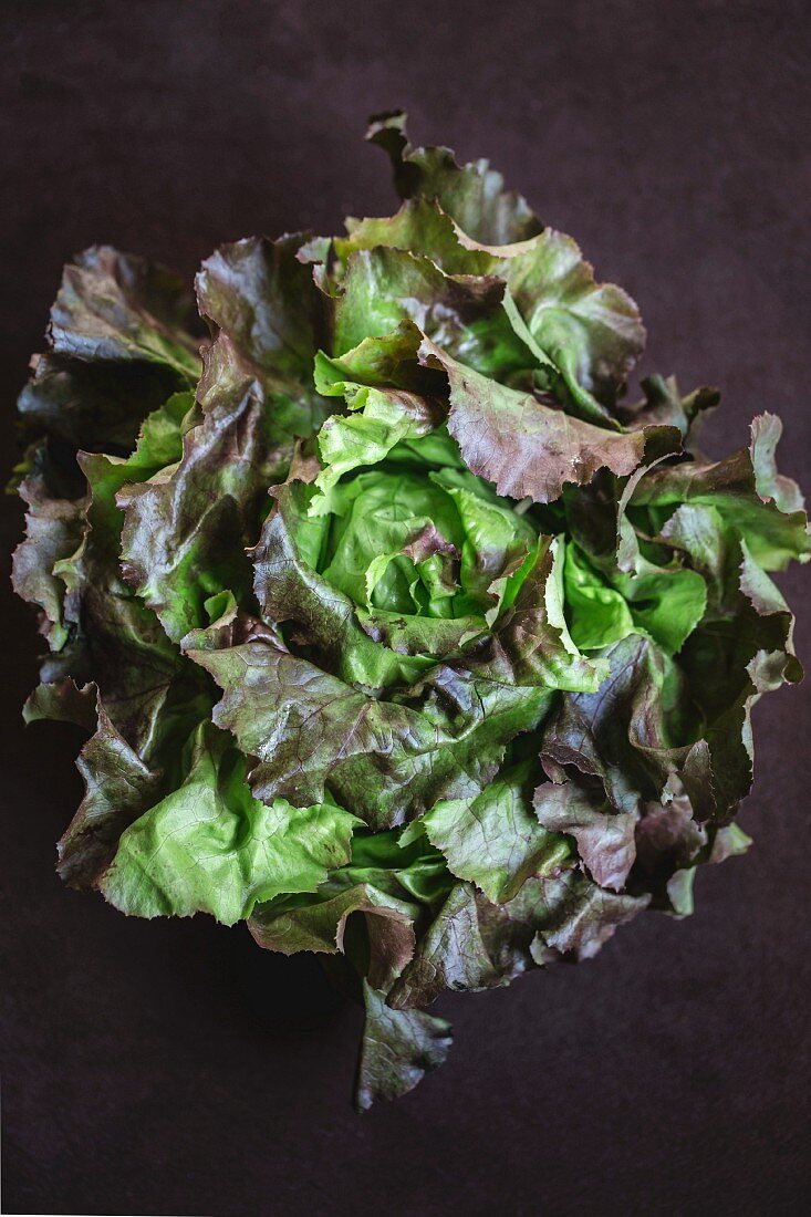 Red and green lettuce on a black surface