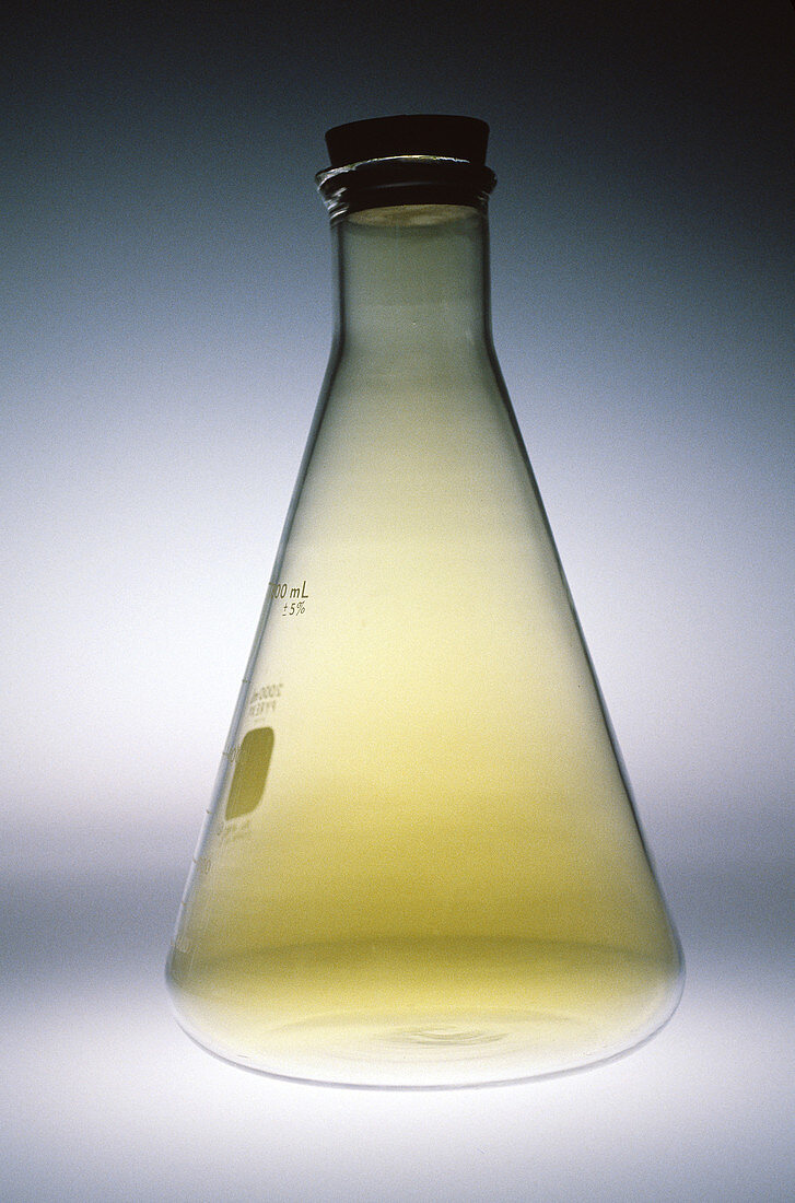 Chlorine filled flask