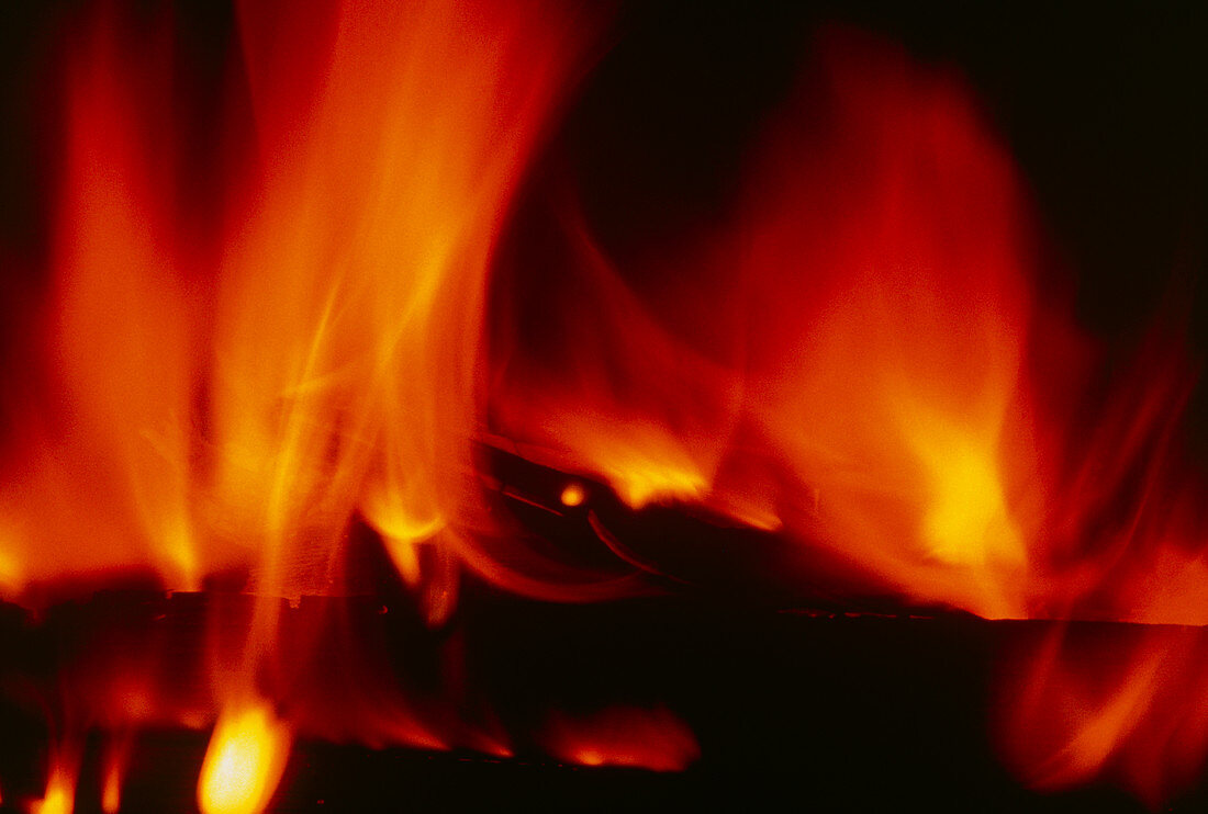 Domestic wood-burning fire in grate