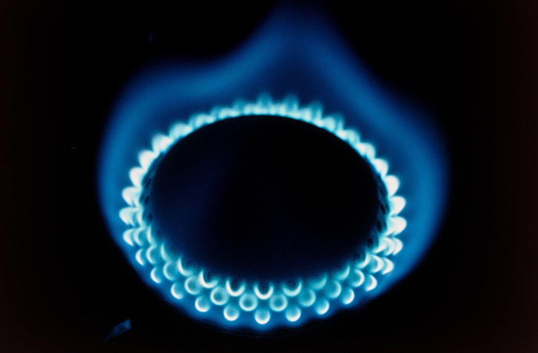 Blue flames of a propane burner