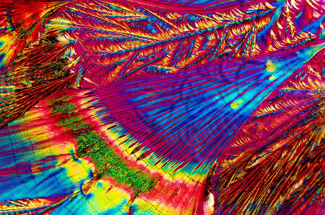 Antiviral drug crystals,light micrograph