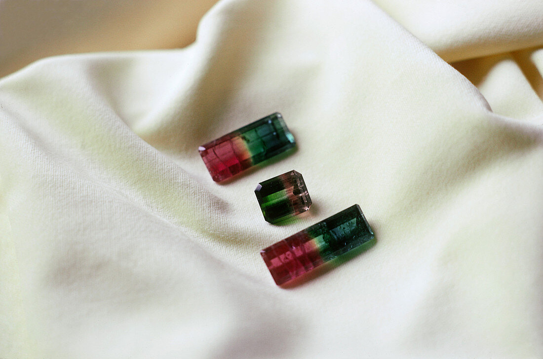 Bicolor Tourmalines