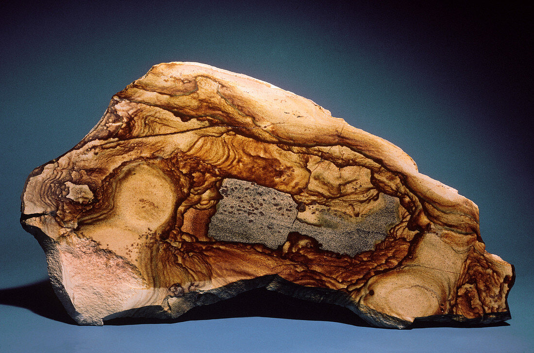 Picture Jasper