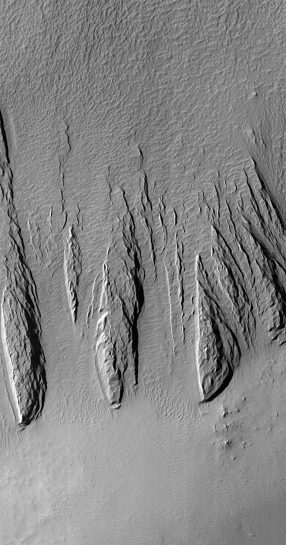 Yardangs on Mars