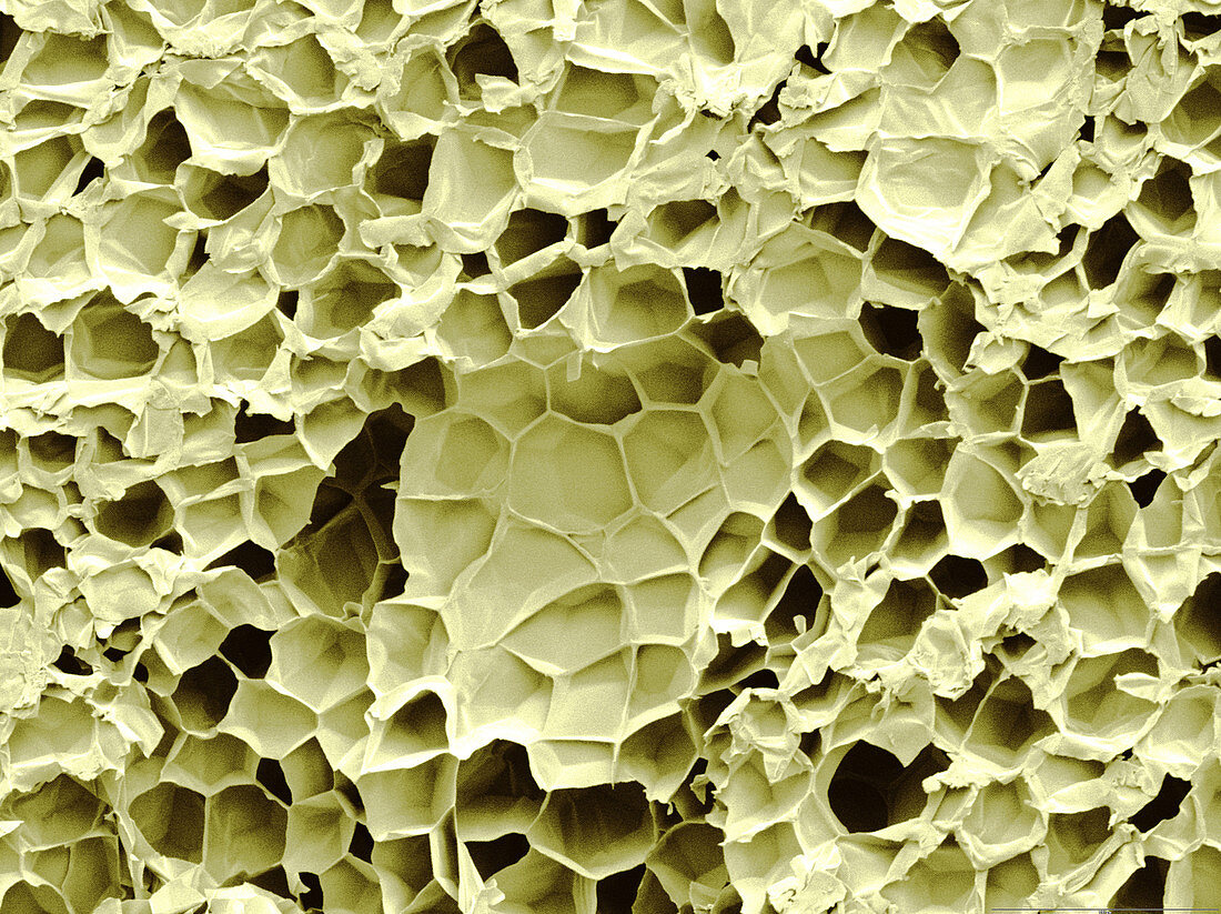 Popcorn Microstructure