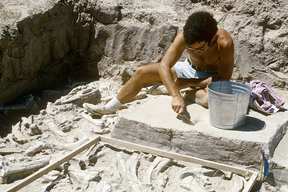 Paleo-Indian Excavation