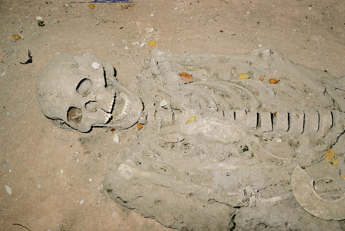 Stone Age Skeleton
