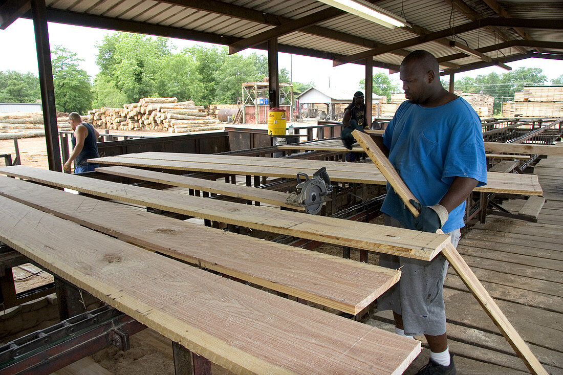 Hardwood Lumber Manufacturing