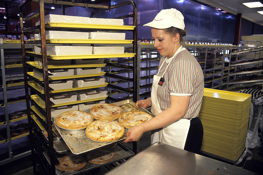 Pies in a Commercial Bakery