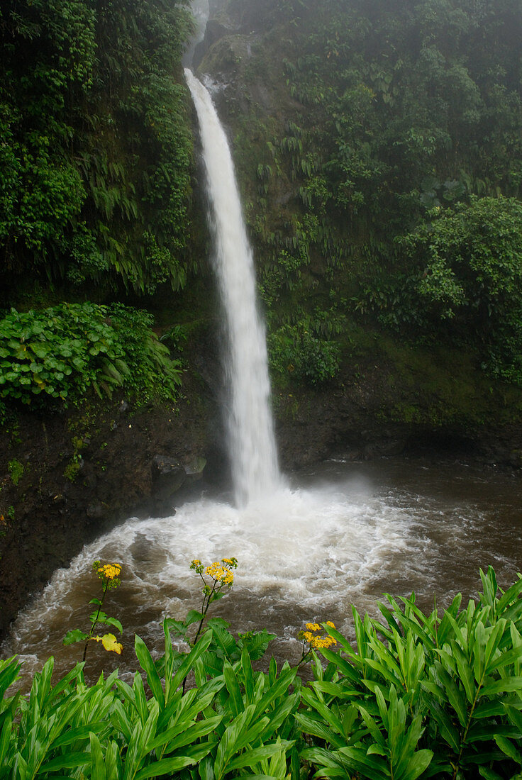 'La Paz Waterfall,Costa Rica'