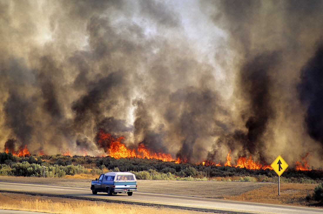 'Brush Fire,Idaho'