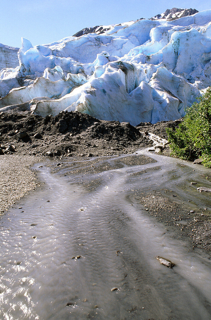 'Toe of Exit Glacier,Alaska'