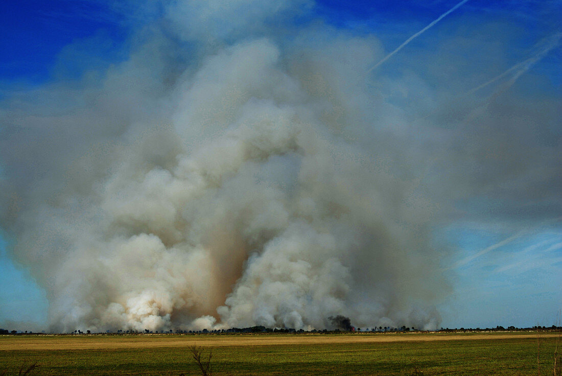 Controlled Burn