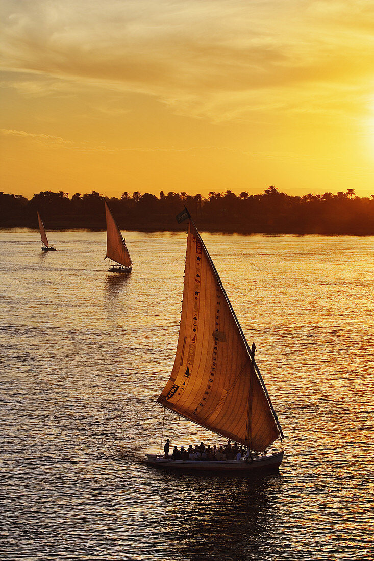 Falukas on the Nile