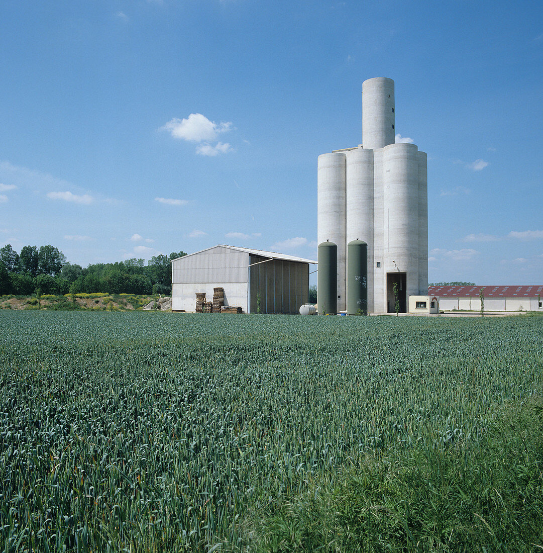 Cereal farmland and concrete grain silos