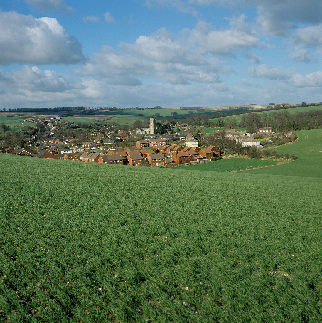 'Wheat crop and village,Wiltshire,UK'