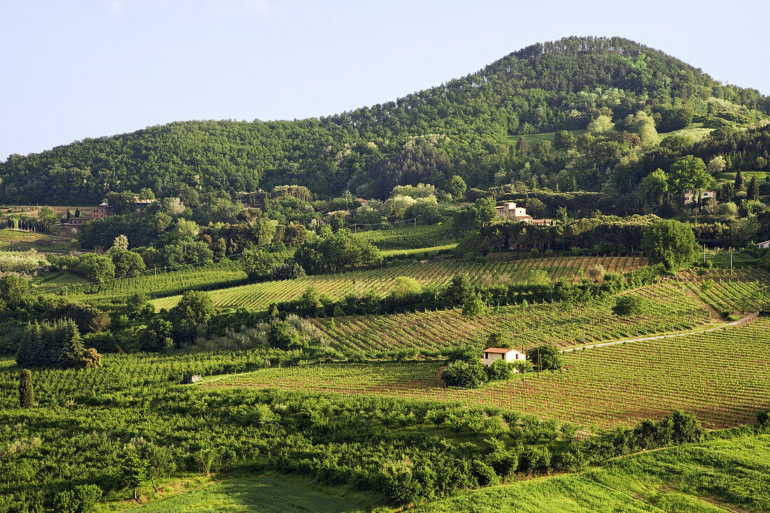'Tuscany Countryside,Italy'