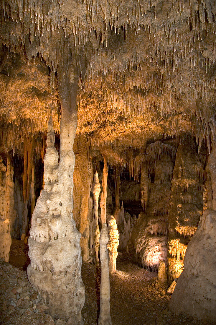 'Blanchard Springs Caverns,Arkansas'