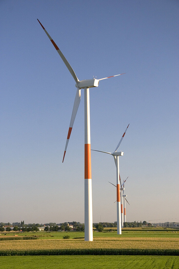 'Windmills,Belgium'