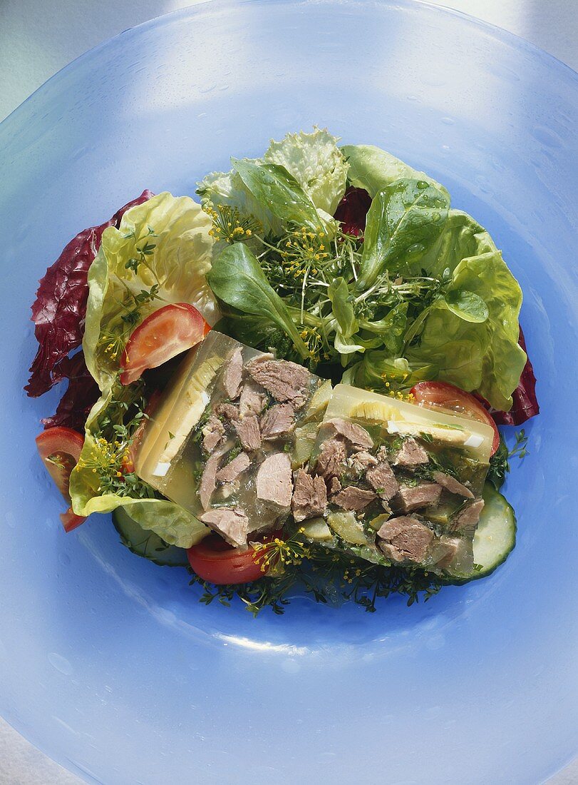 Gänseweisssauer - Sülze vom Gänseklein auf gemischtem Salat