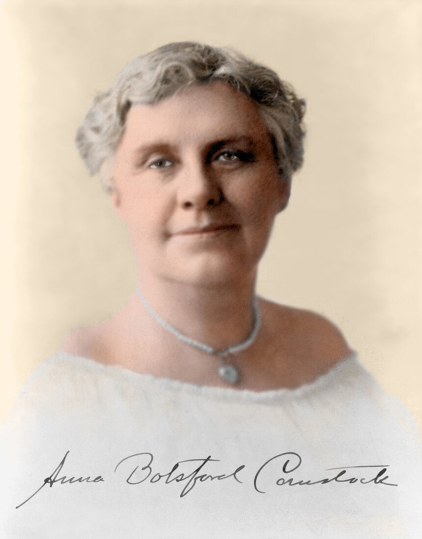 Anna Botsford Comstock