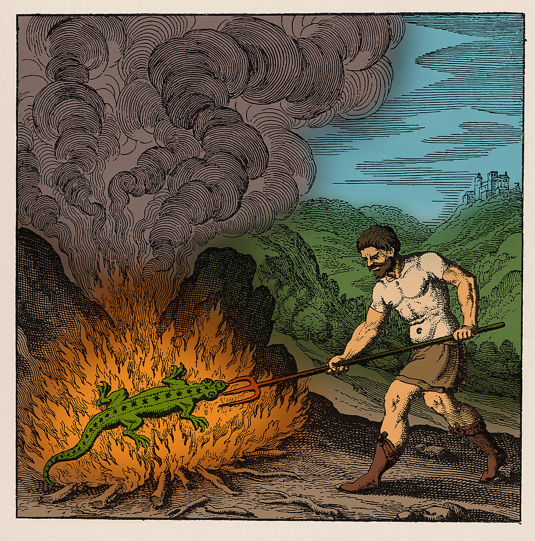 Alchemist burning a salamander