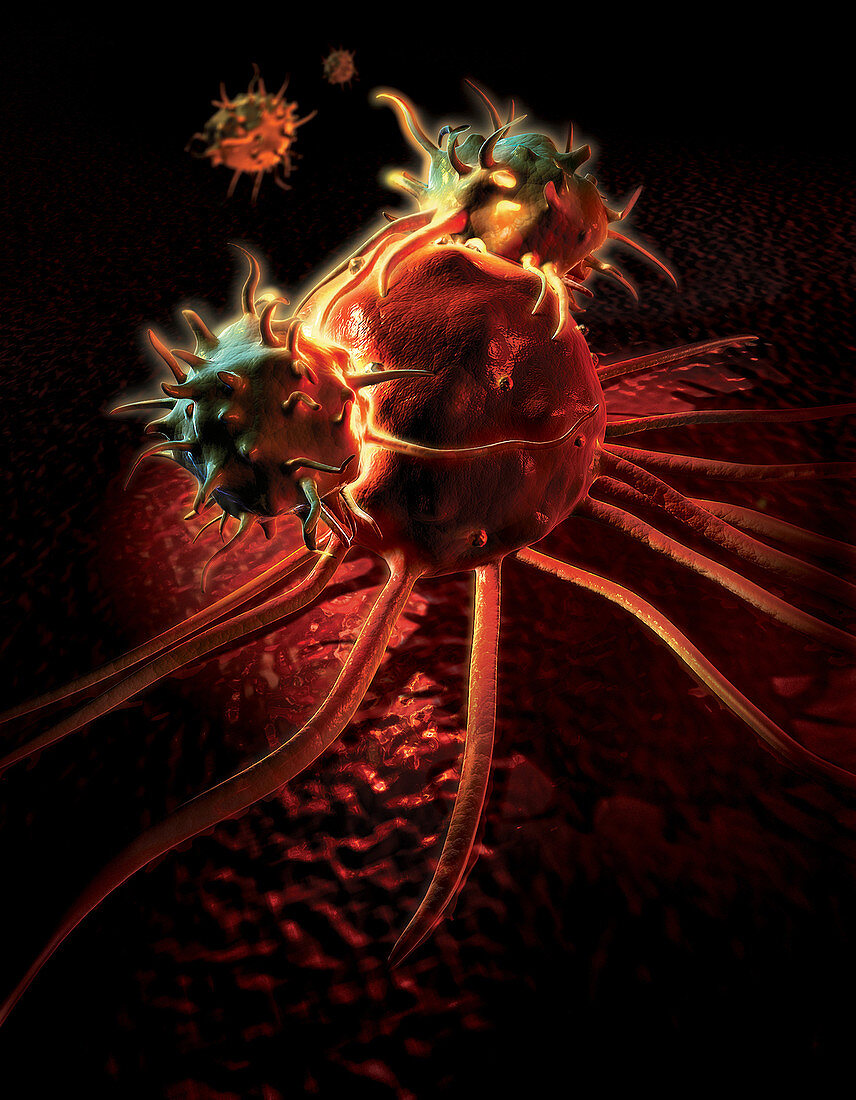 Killer T-Cells Attacking Cancer Cell