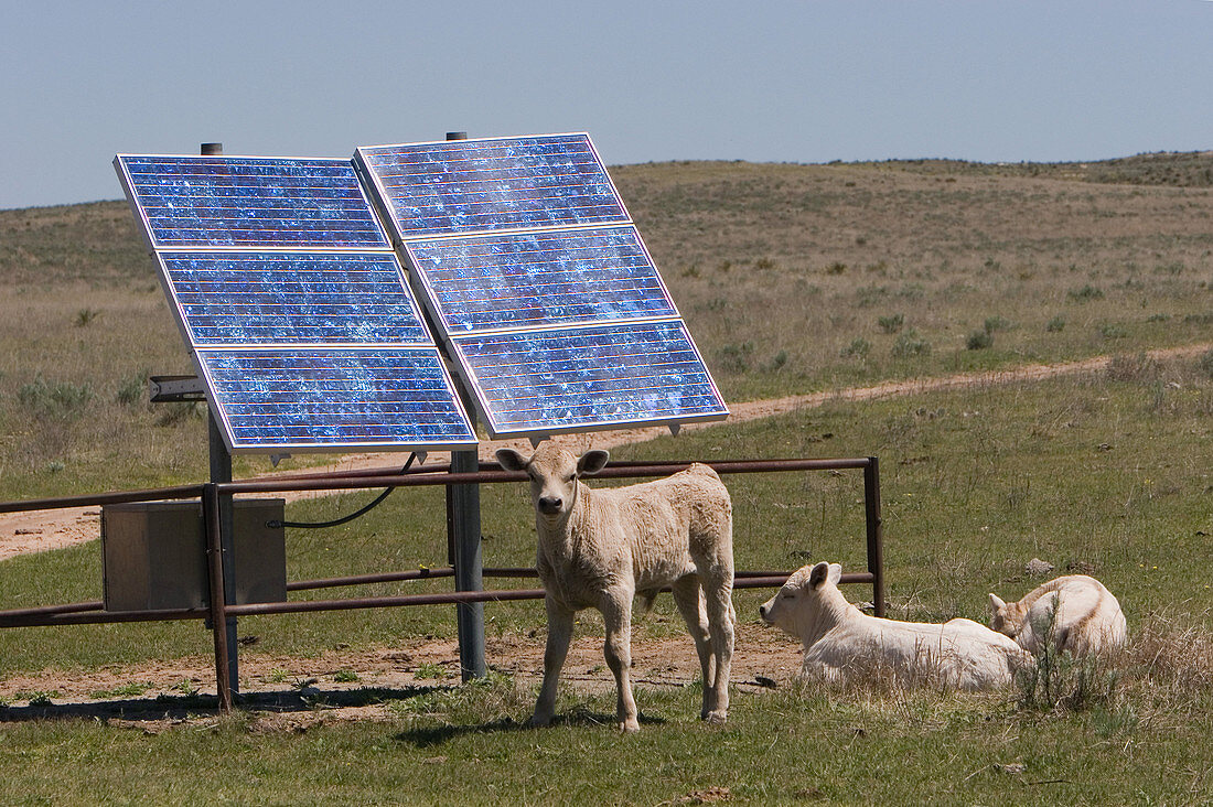 Solar Panels on a Kansas Ranch
