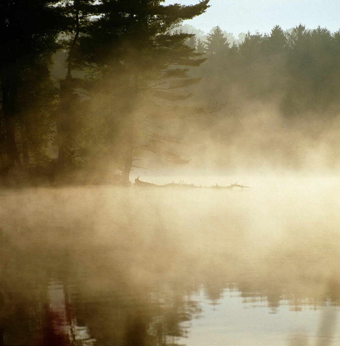 Misty Reservoir