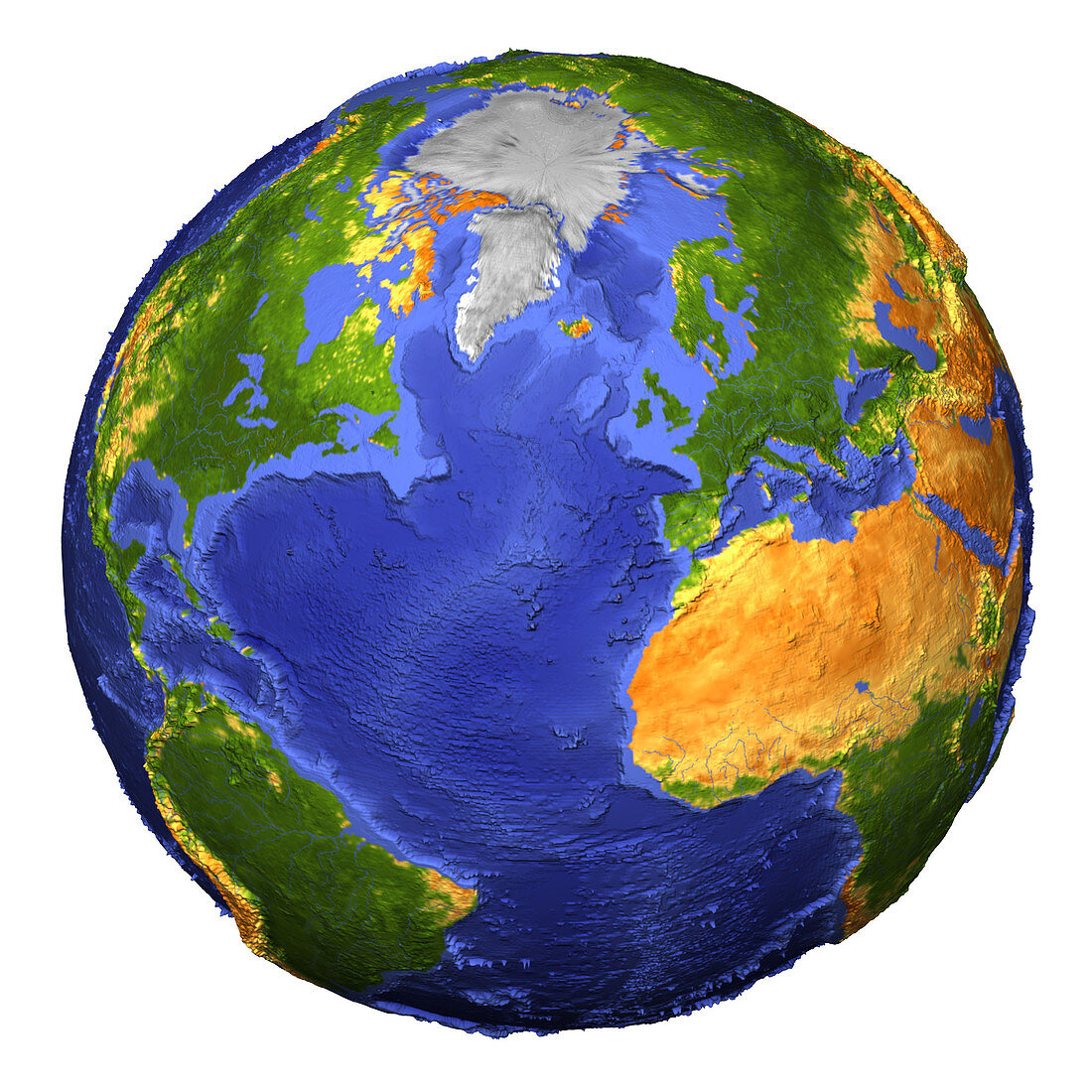 Topographic earth showing vegetation