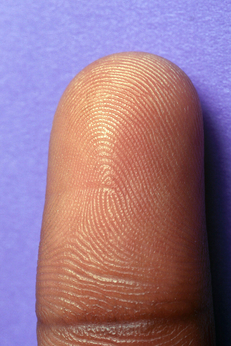 Fingertip of Black Man