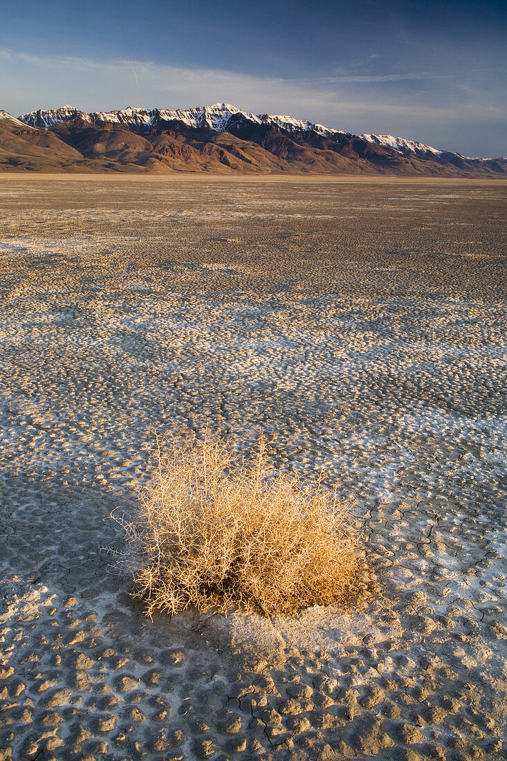 Alvord Desert,Steens Mountain,OR