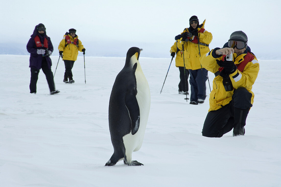 Ecotourism,Antarctica